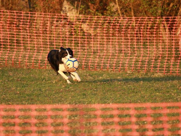 Agility