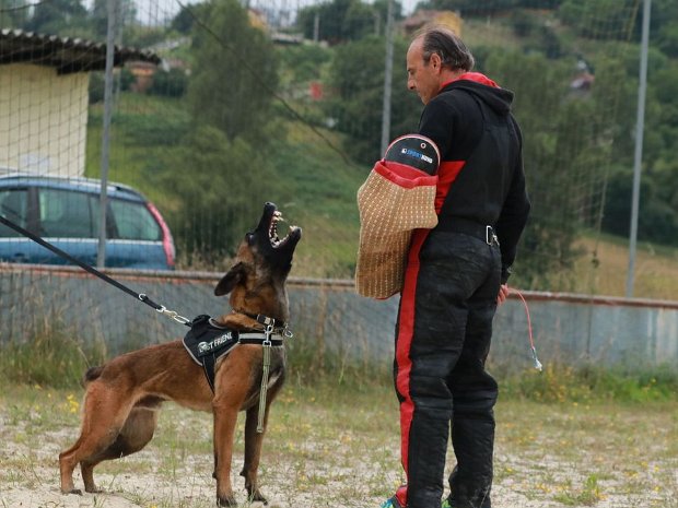 Protecciones